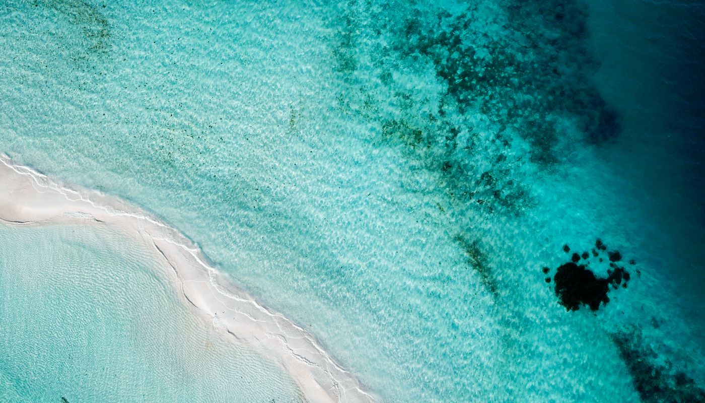 Les plus belles plages de Guadeloupe pour le snorkeling