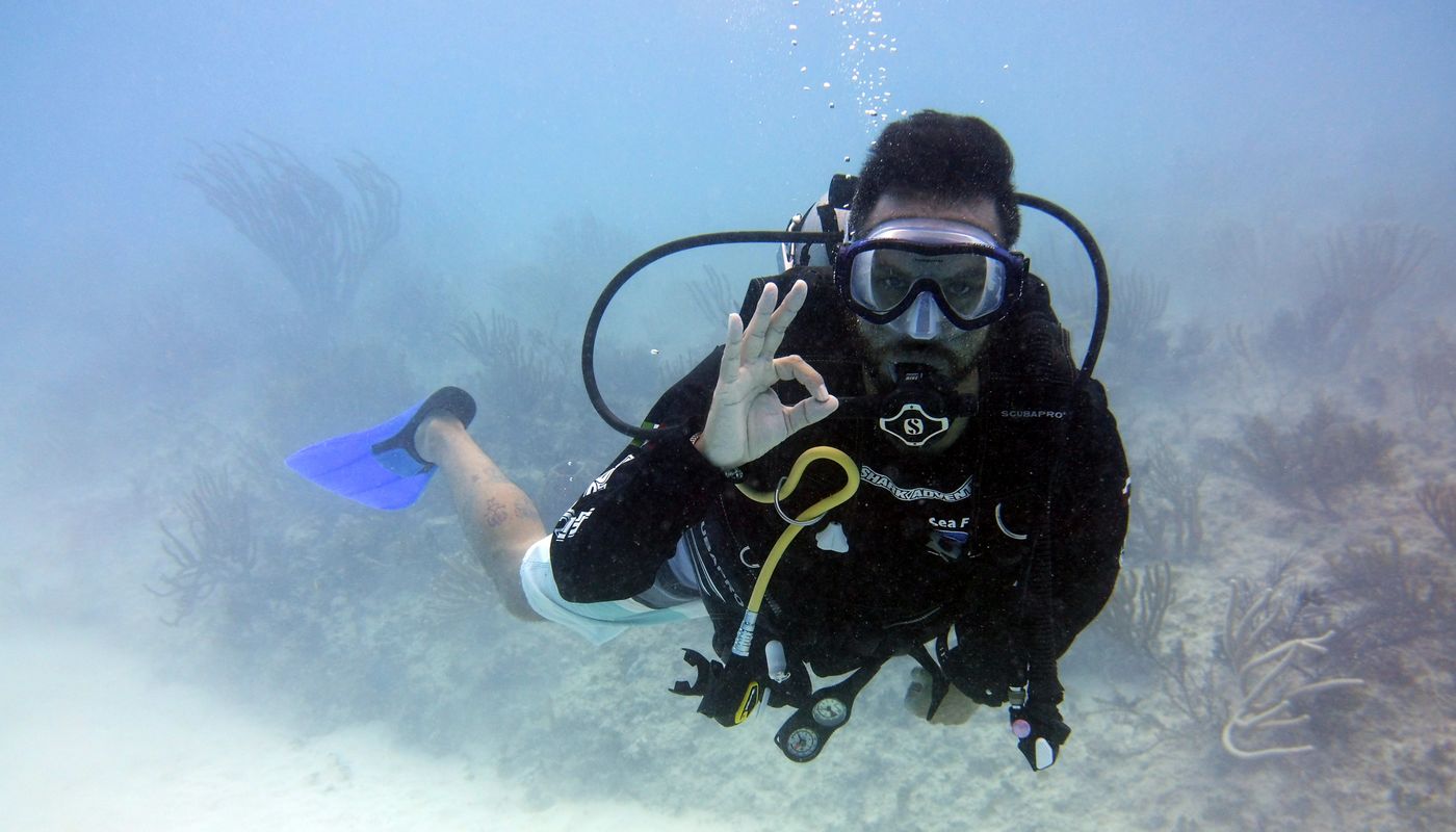 PADI ou FFESSM : quelle certification choisir