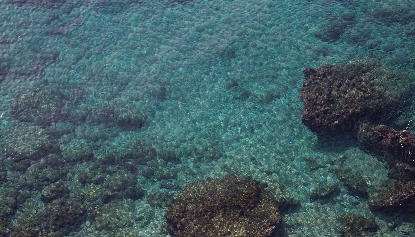 Petite-Terre : la réserve, le lagon, les requins-citron
